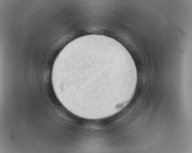 X0000113040652200910081212