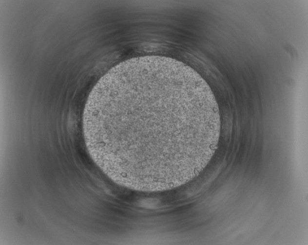 X0000113040653200910081212