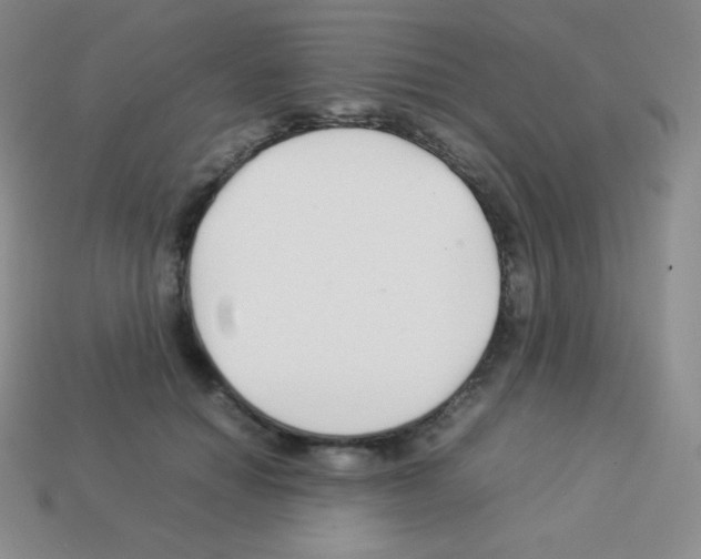 X0000113040654200910081212