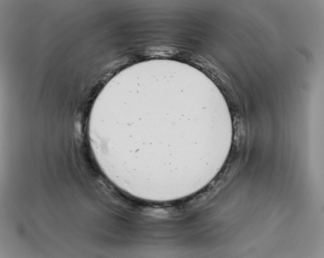 X0000113040655200910081212