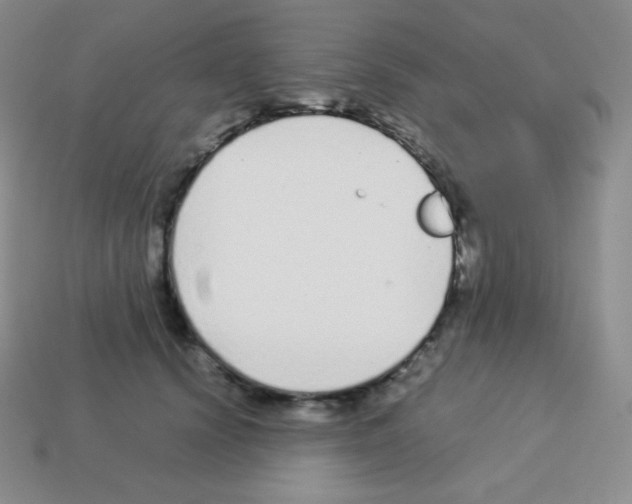 X0000113040656200910081212