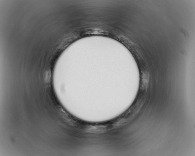 X0000113040657200910081212