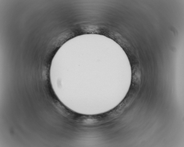 X0000113040658200910081212