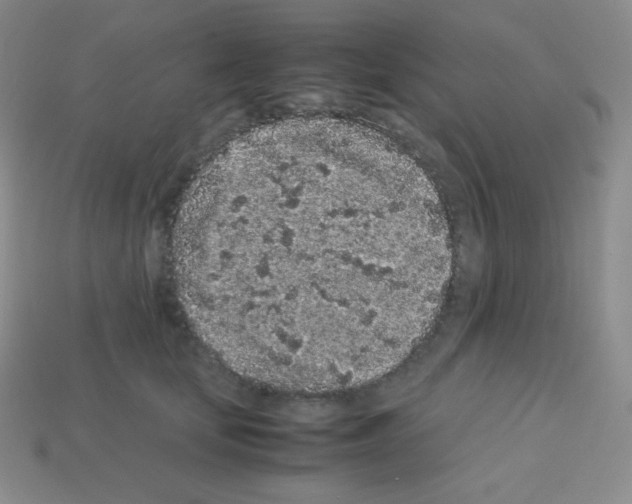 X0000113040659200910081212