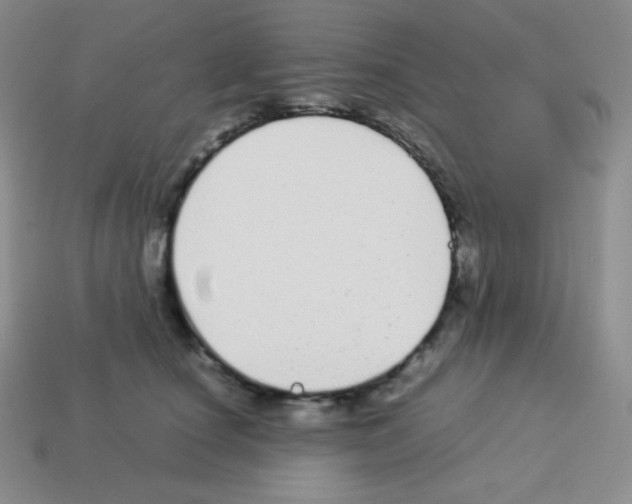 X0000113040660200910081212