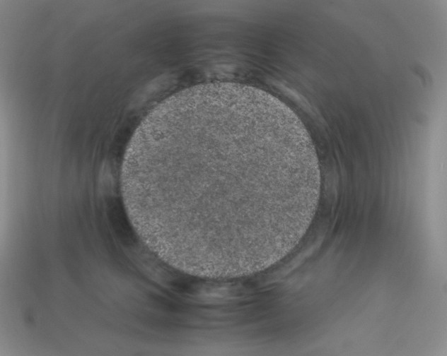 X0000113040661200910081212