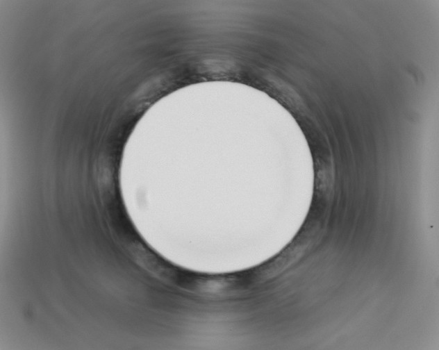 X0000113040662200910081212