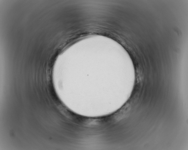 X0000113040664200910081212