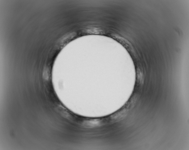 X0000113040665200910081212
