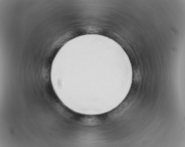 X0000113040666200910081212