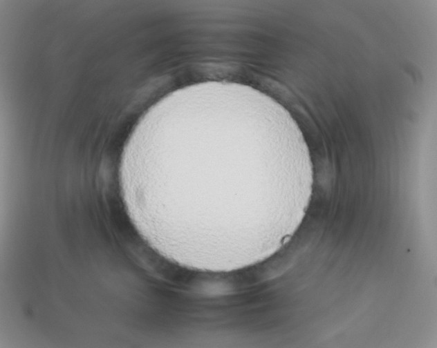 X0000113040667200910081212