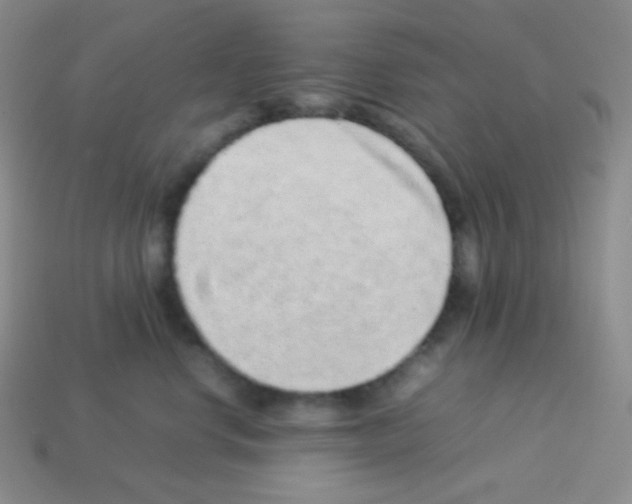 X0000113040668200910081212