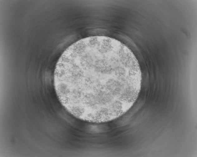 X0000113040669200910081212