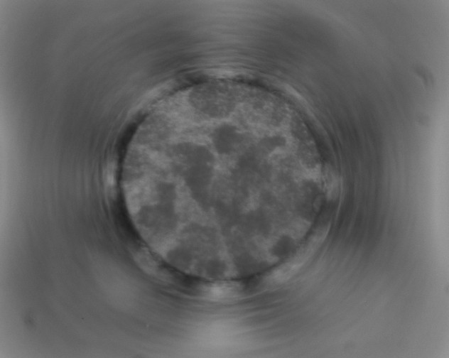 X0000113040670200910081212