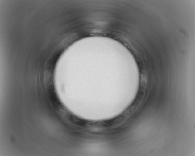 X0000113040671200910081212