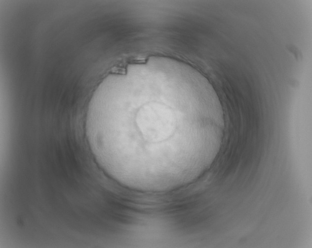 X0000113040672200910081212