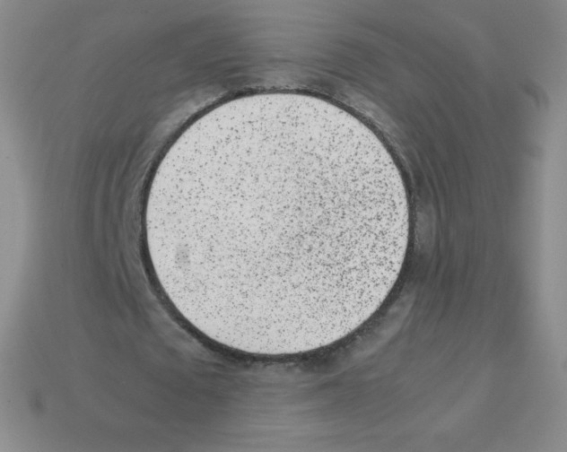 X0000113040673200910081212