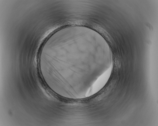 X0000113040674200910081212