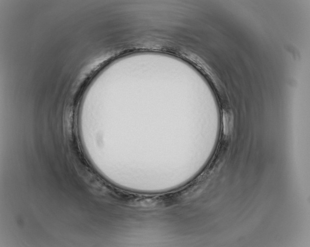 X0000113040675200910081212