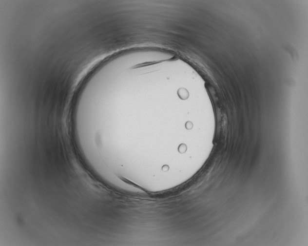 X0000113040676200910081212
