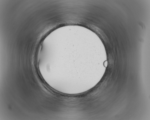 X0000113040677200910081211