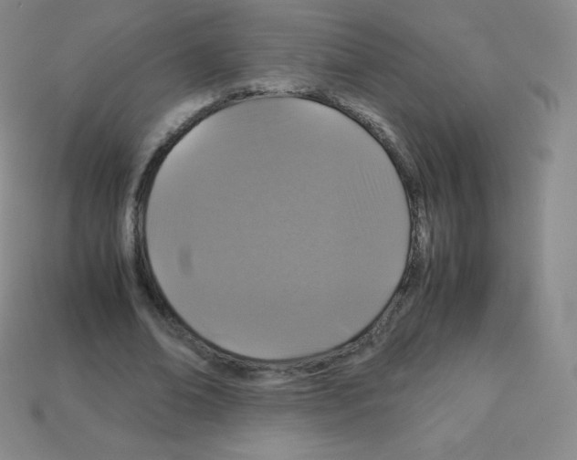 X0000113040678200910081211