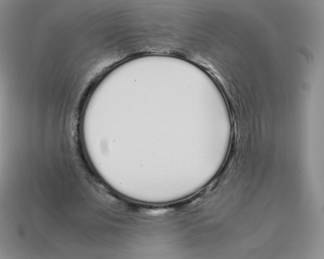 X0000113040679200910081211