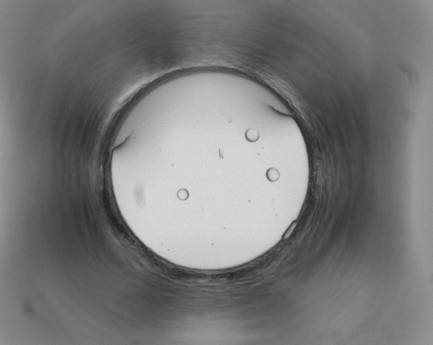 X0000113040680200910081211