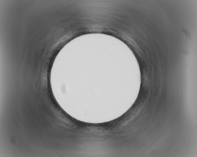 X0000113040681200910081211