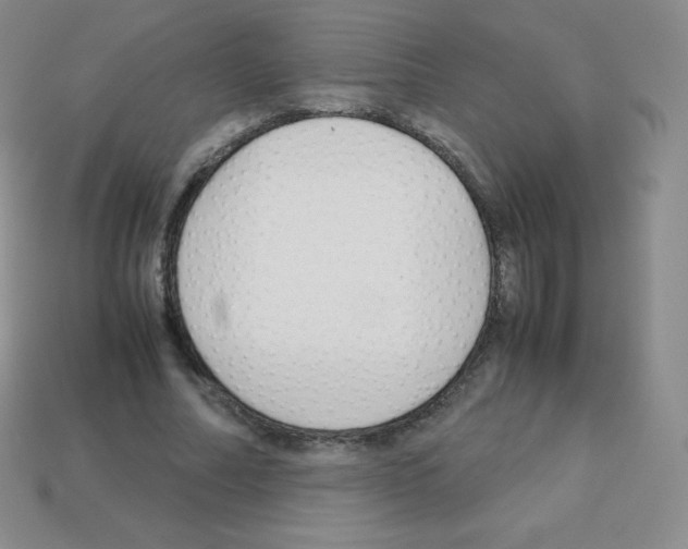X0000113040682200910081211