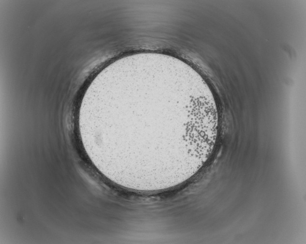X0000113040683200910081211