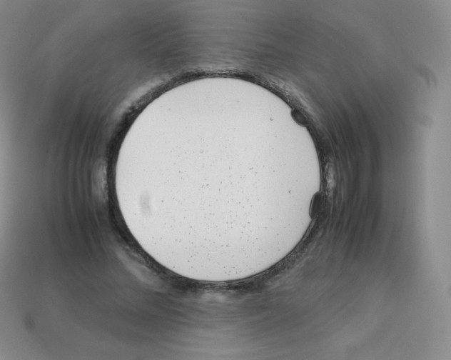 X0000113040684200910081211