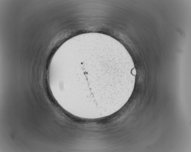 X0000113040685200910081211