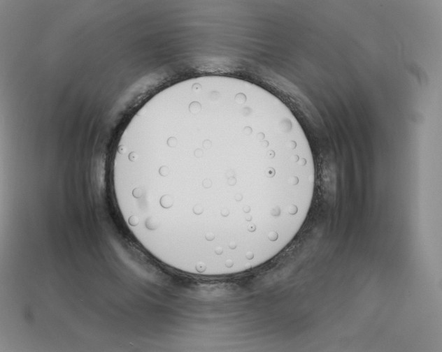 X0000113040686200910081211