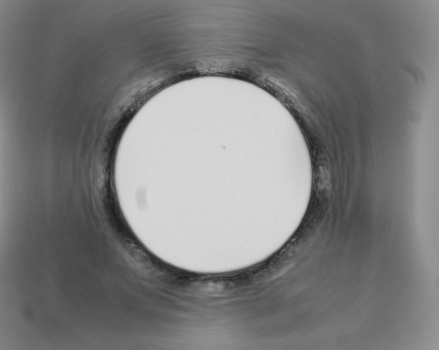 X0000113040687200910081211