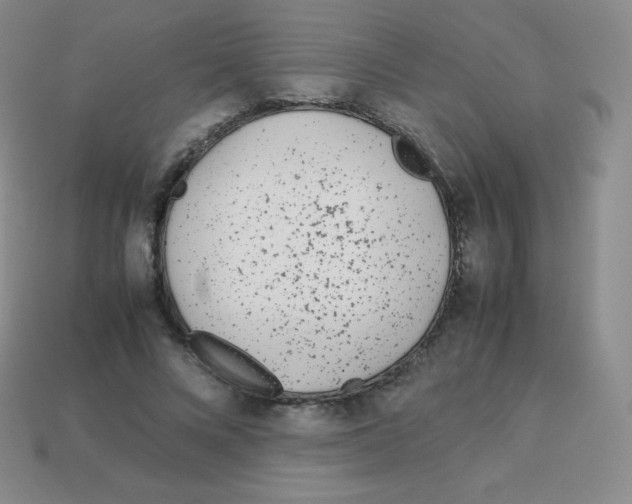 X0000113040688200910081211
