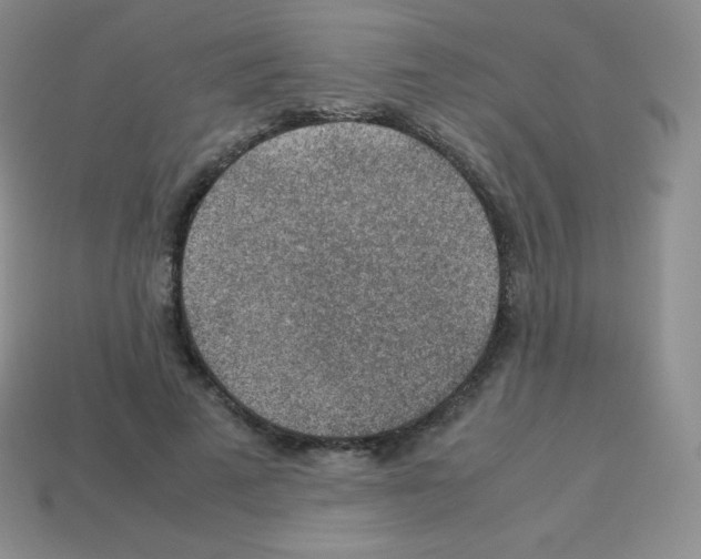 X0000113040689200910081211