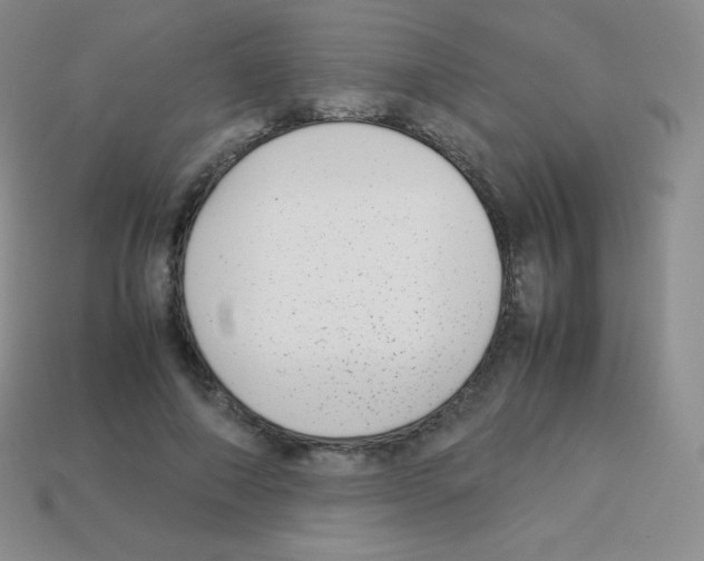 X0000113040690200910081211