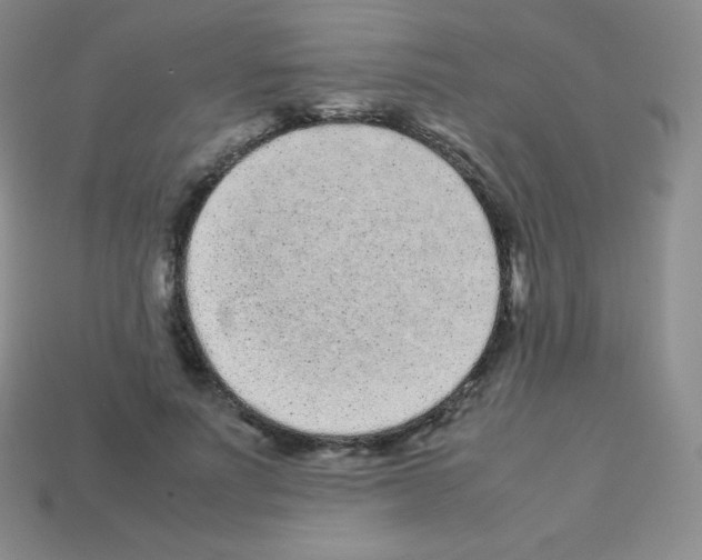 X0000113040691200910081211