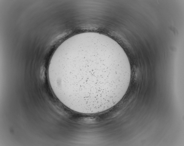 X0000113040692200910081211