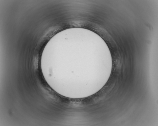 X0000113040694200910081211