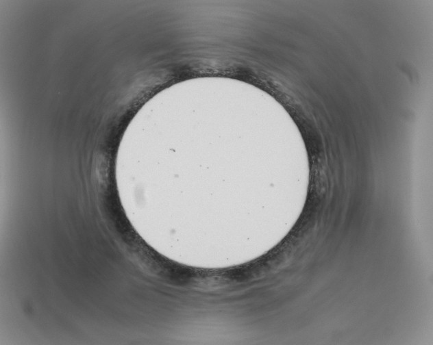X0000113040695200910081211