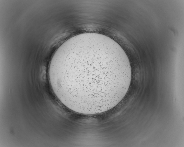 X0000113040696200910081211