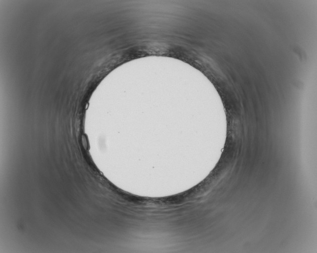 X0000113040697200910081211