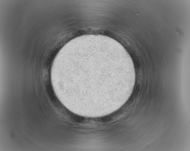 X0000113040699200910081211
