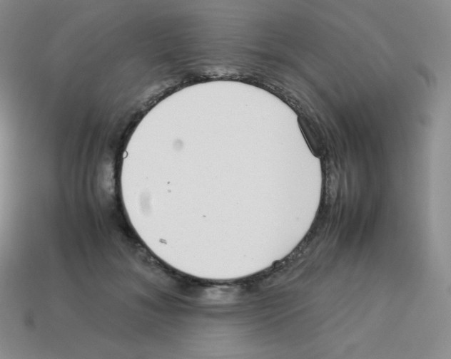 X0000113040700200910081211
