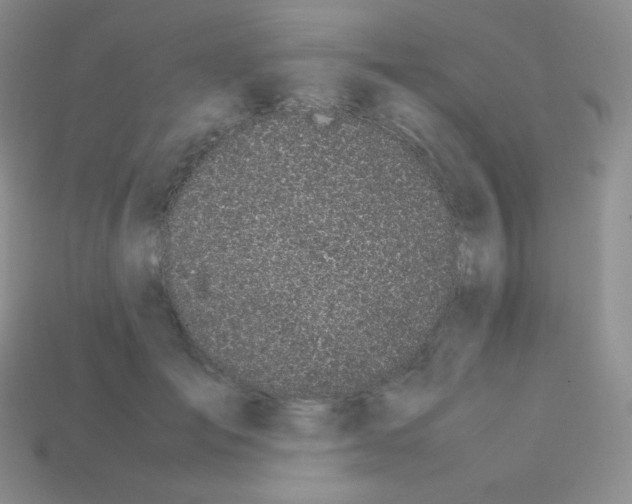 X0000113040701200910081211
