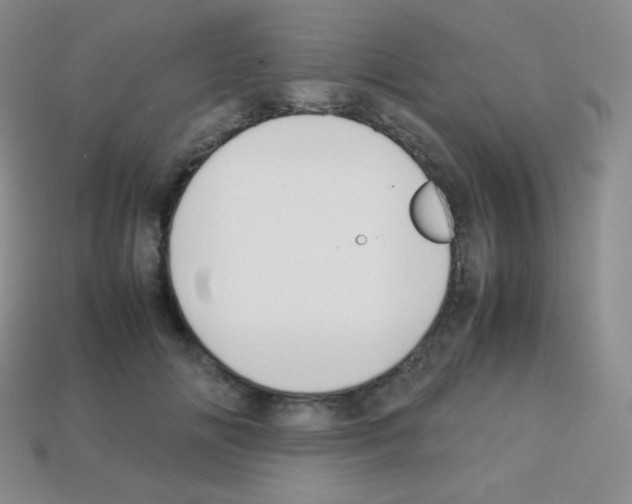 X0000113040702200910081211
