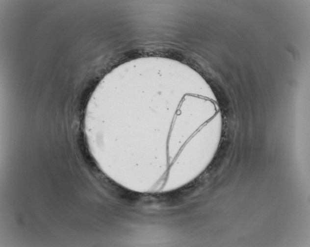 X0000113040703200910081211