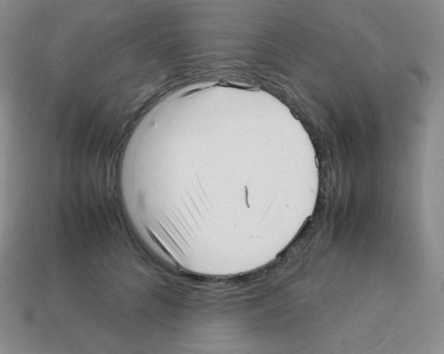 X0000113040704200910081211